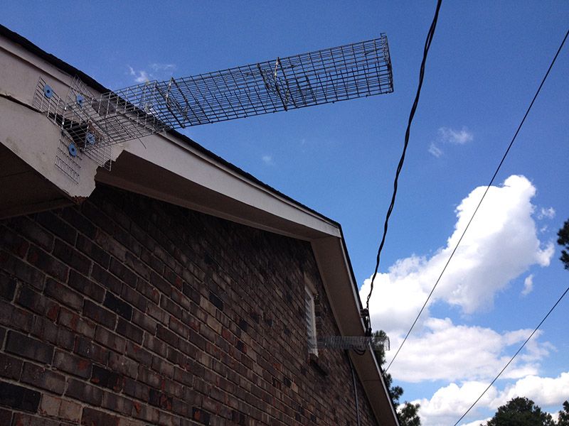 A wire cage excluder is attached to the exterior of a home where a squirrel has chewed a hole into the soffitt to gain entrance to the home.